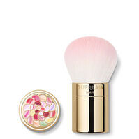 Météorites Brush  1ud.-221252 Météorites Brush  1ud.-221252 2